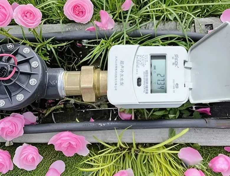 杭州“頂流”驚艷全國，山科如何守護(hù)城市“空中花廊”